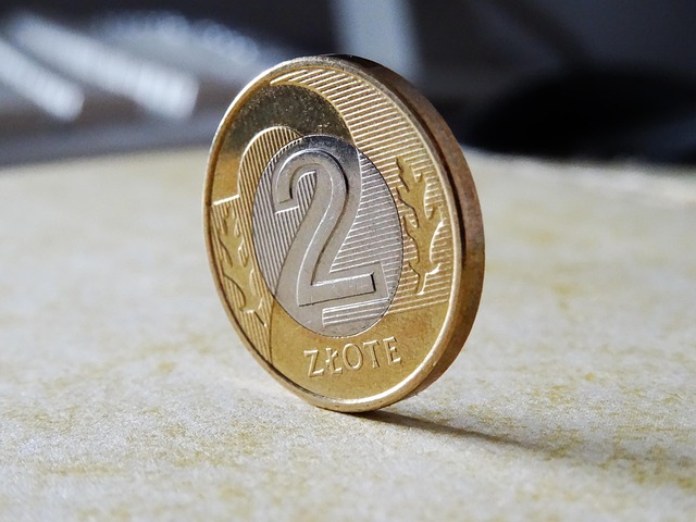 cizí mince